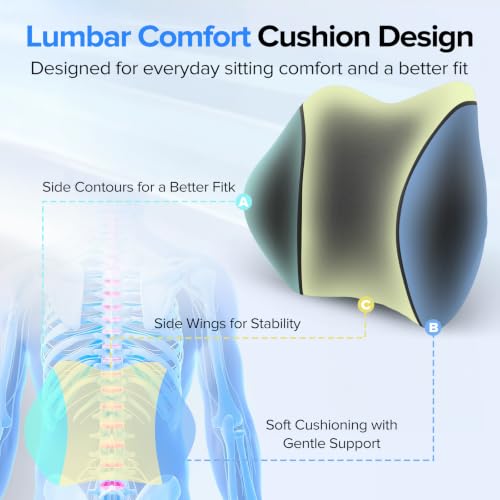 Lumbar Support Pillow for Office Chair - Lower Back Pressure Relief, Black