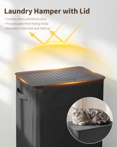 85L Laundry Hamper with Lid - Large Clothes Basket, Black - Variation of Black / 85L