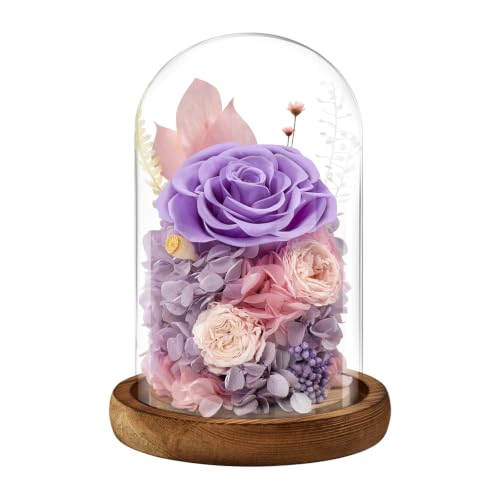 Romantic Preserved Rose Glass Dome Gift - Forever Flower for Valentine’s & Special Occasions