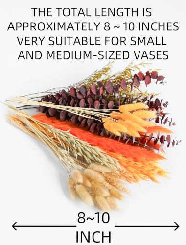 Fall Dried Flowers Set - 12 Natural Preserved Flowers for Decor - Variation: Fall