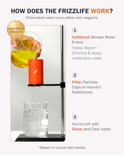 Frizzlife Dual-Outlet Shower Filter with Handheld Sprayer - Polished Chrome, K45+HS04