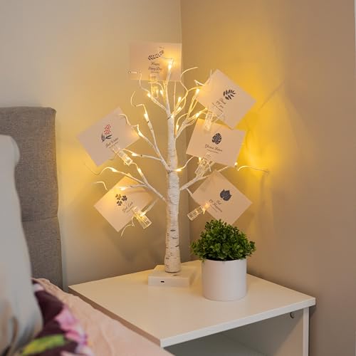 Lighted Money Tree Gift Holder with USB & Timer - 2FT Birch Tree for Holiday Decor