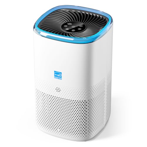 Air Purifier for Large Rooms - 145 CFM, ENERGY STAR, White Finish