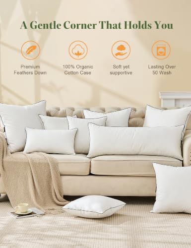 Organic Feather Down Euro Pillow Insert 26x26 White Pack of 2