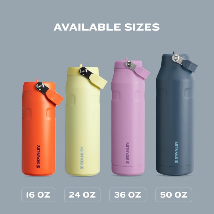 Stanley IceFlow Water Bottle 24 oz - Insulated Stainless Steel with Built-In Straw | Lightweight & Leak Resistant | Twilight