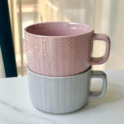 Disoza 24 OZ Gray Oversized Ceramic Coffee Mug with Handle - XXL Soup Cup