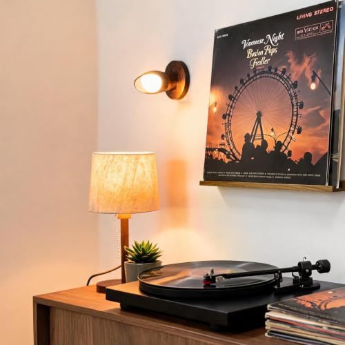 Brown Vinyl Record Wall Shelf Set - 3 Pieces Rubberwood Record Holders