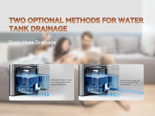Gray Home Dehumidifier with Drain Hose & Reusable Air Filter - Portable
