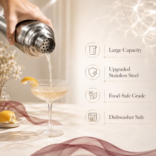 24 oz Stainless Steel Cocktail Shaker Set with Bar Tools & Guide