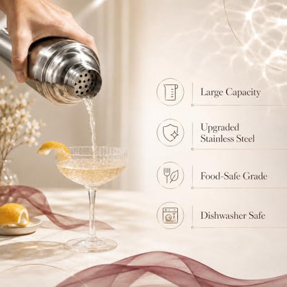 24 oz Stainless Steel Cocktail Shaker Set with Bar Tools & Guide