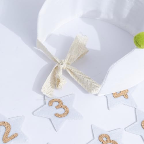 Reusable Birthday Crown with Interchangeable Numbers 1-9 - Pink, Peach & Green - Variation of 1-9hat