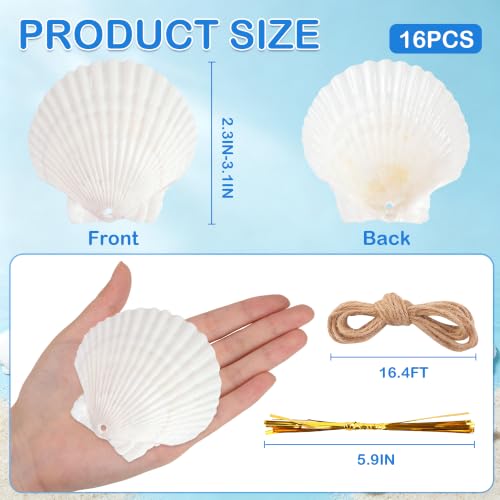 20PCS Sea Shells for Crafts with Holes - 2-3 Inch Natural Scallop Shells