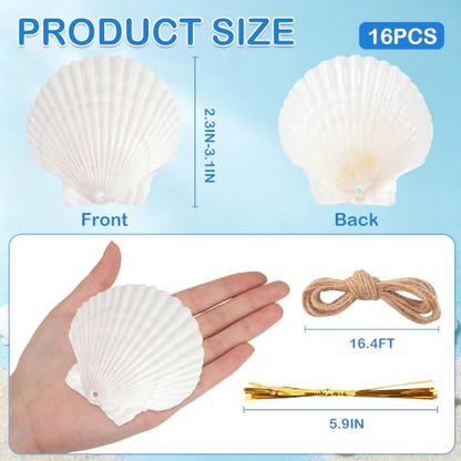20PCS Sea Shells for Crafts with Holes - 2-3 Inch Natural Scallop Shells
