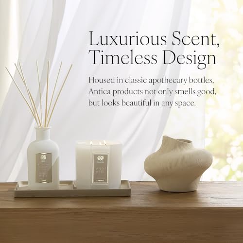 Antica Farmacista Reed Diffuser - Golden Amber Scent, 3.4 fl oz - Pack of 1