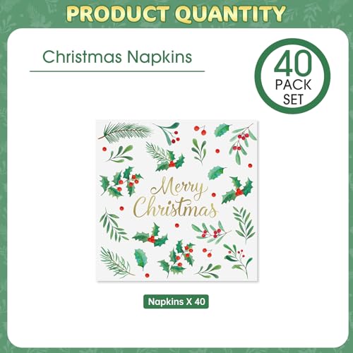 Christmas Paper Napkins 40 Pcs - 13 Inch Holiday Cocktail Dinnerware Set