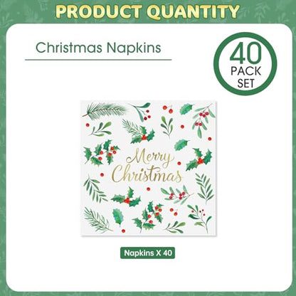 Christmas Paper Napkins 40 Pcs - 13 Inch Holiday Cocktail Dinnerware Set