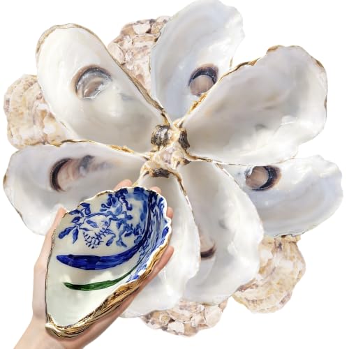 10PCS Large Concave Oyster Shells for Crafts 3-4 Inch Natural Decor