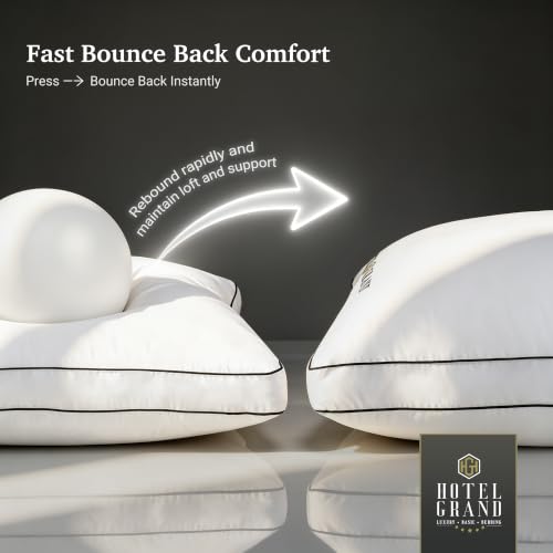 Queen Size Hotel Support Gusset Pillow Set of 2 White - Medium Firm