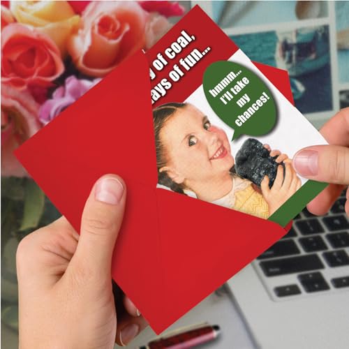Christmas Funny Greeting Card Set - 12 Boxed Holiday Cards with One Day of Coal Variation