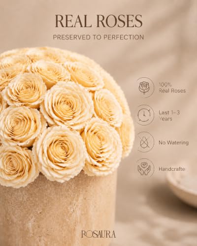 Golden Champagne Preserved Roses in Natural Yellow Travertine Vase - Gift Box