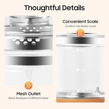 Electric Glass Kettle with Temperature Control 1.8L — Multi-Function Tea & Food Maker
