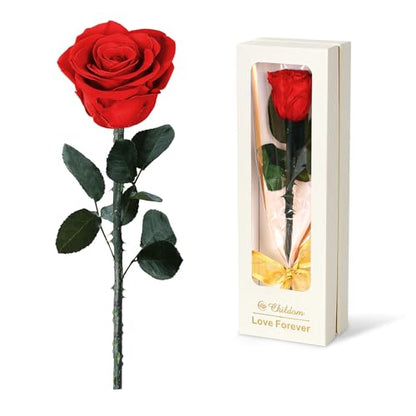 Preserved Red Rose Flower for Birthdays & Special Occasions - Gift Box