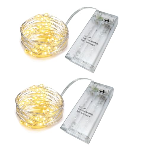 Warm White 16.5ft LED Fairy String Lights - 2 Pack Firefly Decorative Lights