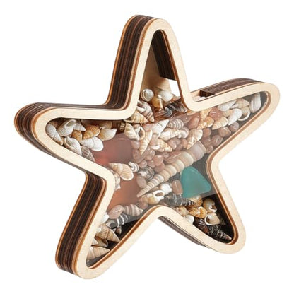Starfish Wooden Shark Tooth Display Case 6.7x6.4 Inch Beach Decor