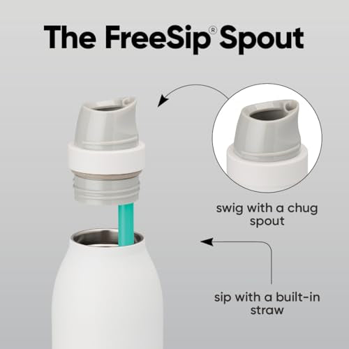 Insulated Stainless Steel Water Bottle 18oz with Twist Lid & Carry Loop