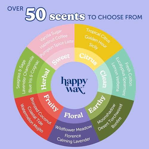 Soy Wax Melts - Fall Cinnamon Sticks Scented 8oz Pouch - Happy Wax