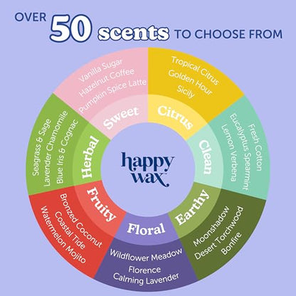 Soy Wax Melts - Fall Cinnamon Sticks Scented 8oz Pouch - Happy Wax