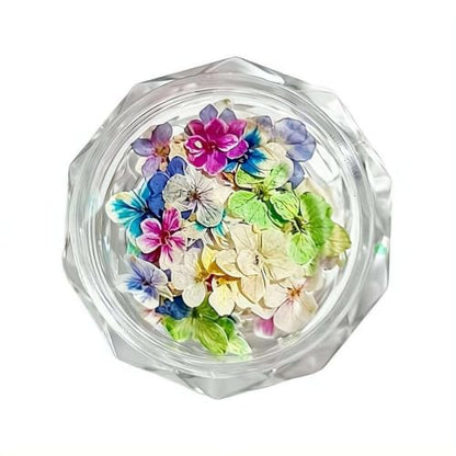 Color 6 Dried Flowers for Nail Art, Natural Pressed Botanical Accents, 1 Piece