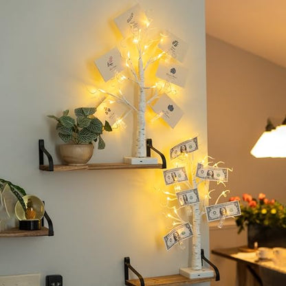 Lighted Money Tree Gift Holder with USB & Timer - 2FT Birch Tree for Holiday Decor