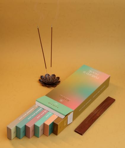 Dinil Nature's Nook Incense Gift Set with 6 Scents, 120 Hand-Rolled Sticks