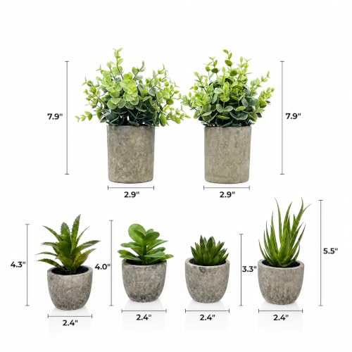 6 Pack Artificial Succulents and Eucalyptus Plants with Cement Pots for Indoor Decor