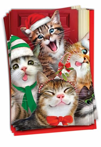 Funny Christmas Greeting Cards - Merry Christmas to Zoo Set of 12