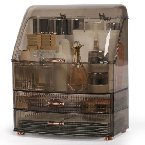 Clear Makeup Organizer Countertop with Lid & 2 Drawers for Vanity