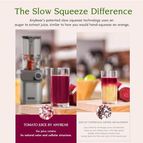 Anybear Cold Press Juicer 200W Masticating Slow Juicer with 4.3-Inch Wide Feed Chute - Silver & Orange