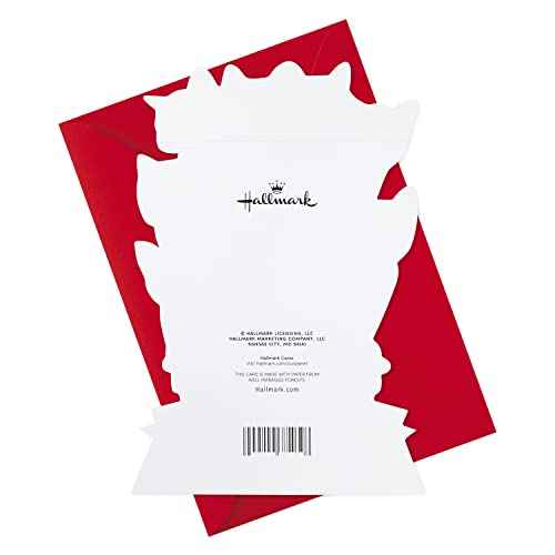 Hallmark Funny Valentines Day Card (Bouquet of Kittens)