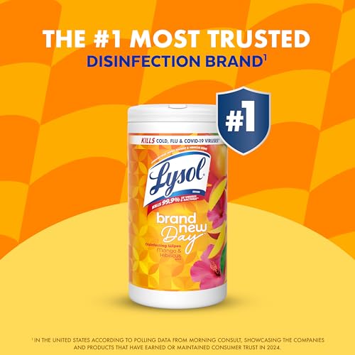 Lysol Dual Action Disinfectant Wipes, Multi-Surface Antibacterial Scrubbing Wipes, Dorm Room Essentials, Citrus Scent, 75ct (Pack of 4), Packaging May Vary