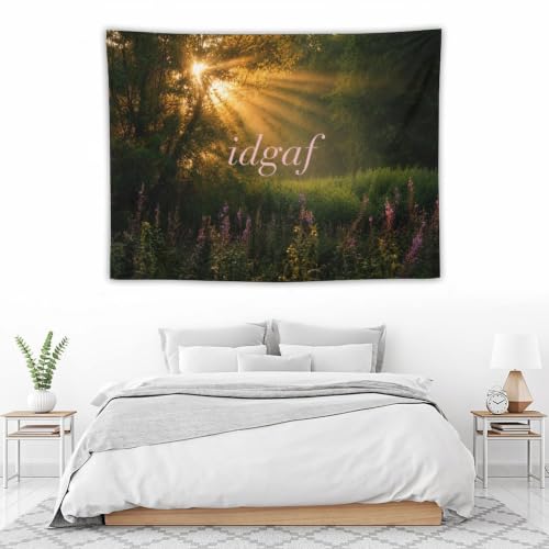 IDGAF Meme Tapestry - 30x40 Inch Wall Hanging for Bedroom Dorm Room College