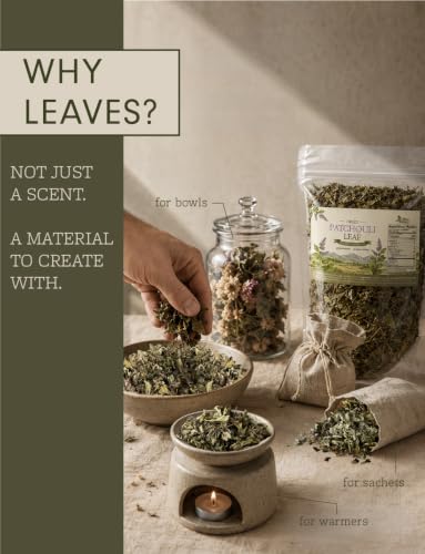 Dried Patchouli Leaves for Rituals Potpourri and Crafts 1 oz - Natural Aromatic Herb