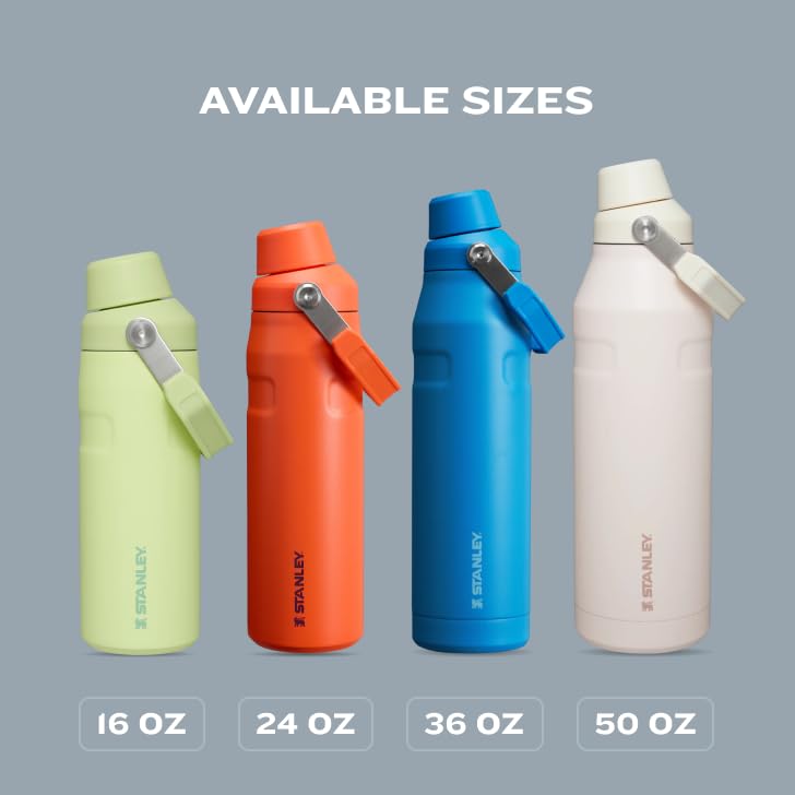 Stanley IceFlow Fast Flow Water Bottle 16 oz | Angled Spout Lid | Lightweight and Leakproof for Travel and Sports | Insulated Stainless Steel | BPA-Free |Tigerlily