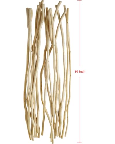 Natural Dried Willow Branches for Vases - 20 Stems, Rustic Home Decor