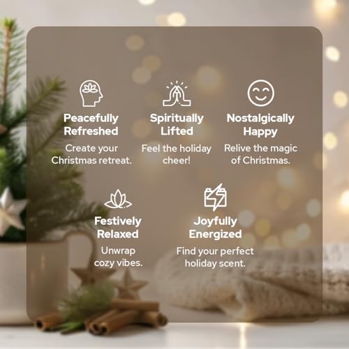 Carnatia 12 Days of Sparkle Christmas Advent Calendar Set of 12 Festive Fragrance Products
