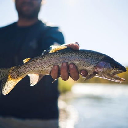 Fly Fishing Trout Fly Advent Calendar - 24 High-Quality Flies for Anglers