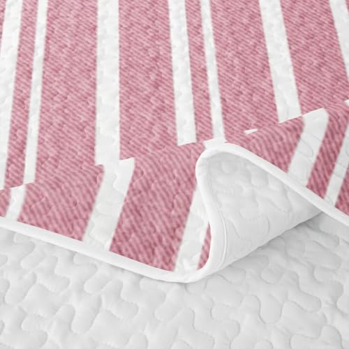 Pink White Striped Quilt Set Queen Size - Modern Geometric Bedspread with Pillow Shams - Kids Bedroom Decor - Variation: White Pink