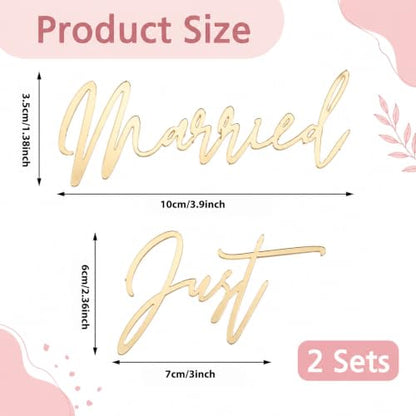 2 Pack Acrylic Just Married Cake Topper Gold & Black Wedding Decor