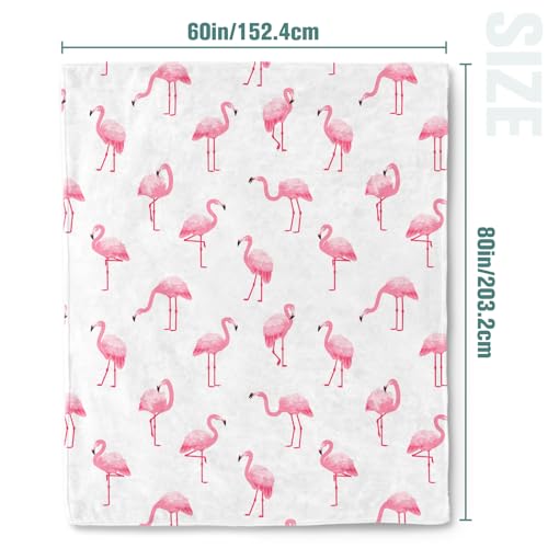 Pink Flamingo Throw Blanket - 60x80 Inch Ultra-Soft Fleece for Couch Bed Lounge