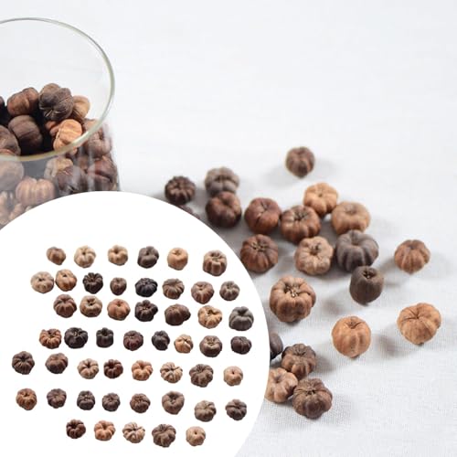 Mini Dried Pumpkin Decor for Floral Wreaths and Crafts, 50 Pack